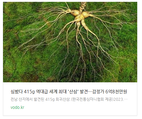 [아침뉴스] "심봤다" 415g 역대급 세계 최대 '산삼' 발견…감정가 6억8천만원 등