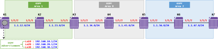  [OSPF] OSPF Case Study - LSA Type 3 Summary(Nokia 7750 SR)