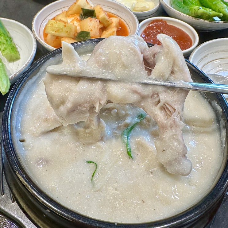  인천 삼계탕 예담삼계탕 연수동 맛집