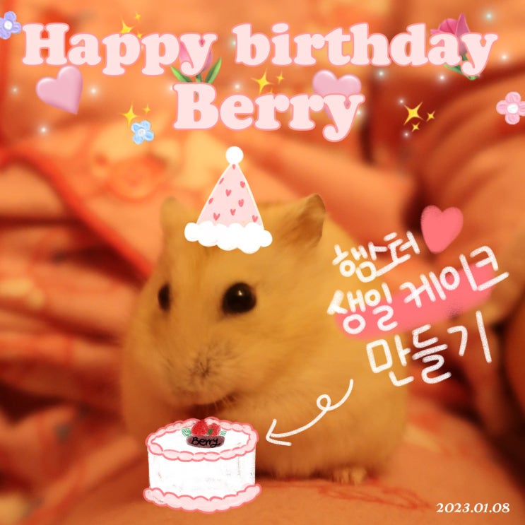  햄스터 생일 케이크 만들기 / 노오븐 햄스터 고구마 케이크 만들기