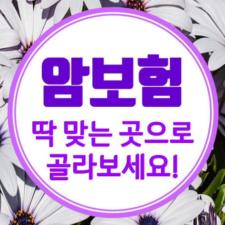  인터넷암보험 딱 맞는 곳으로 고를 수 있어요.