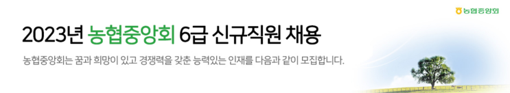 2023년 농협중앙회 6급 신규직원 채용 분석