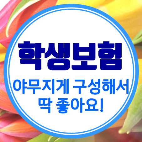  고등학생보험 야무지게 구성해서 딱이네요!