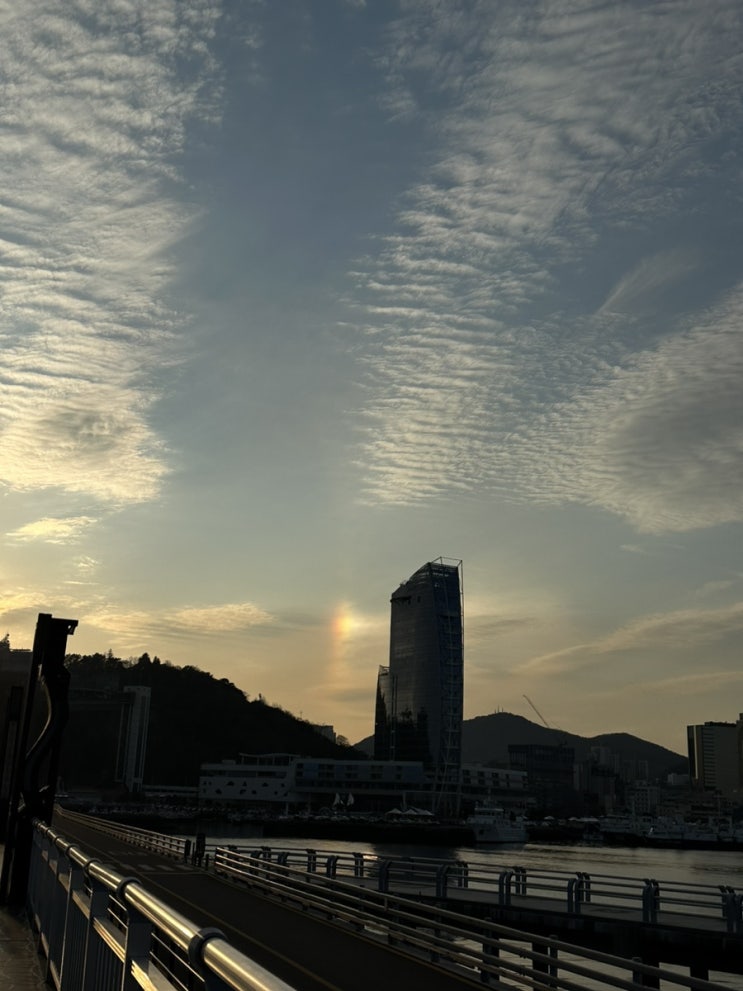  너랑 겨울 여수[2] : 희망선어|모카힐|오동도|여수원조굴구이