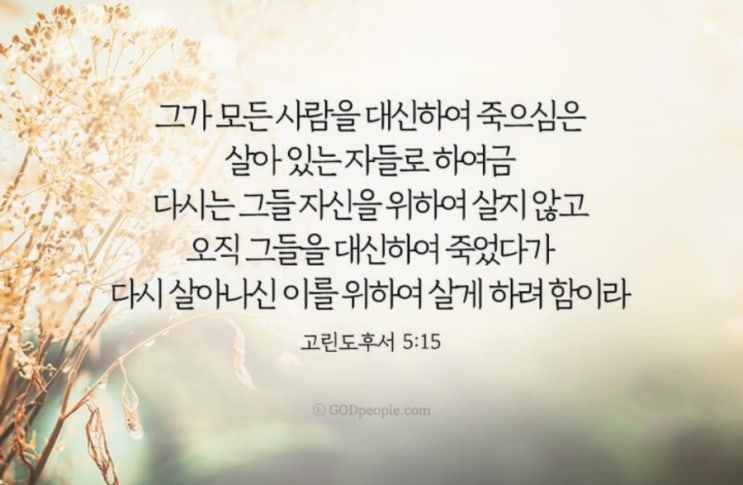  성경묵상 감사기도 자녀를 위한기도  예례미아31장에서40장 까지