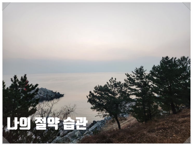  나의 지출비 절약 습관 기록
