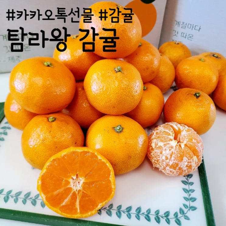  카카오톡 선물하기, 가벼운 선물로 좋은 탐라왕 감귤
