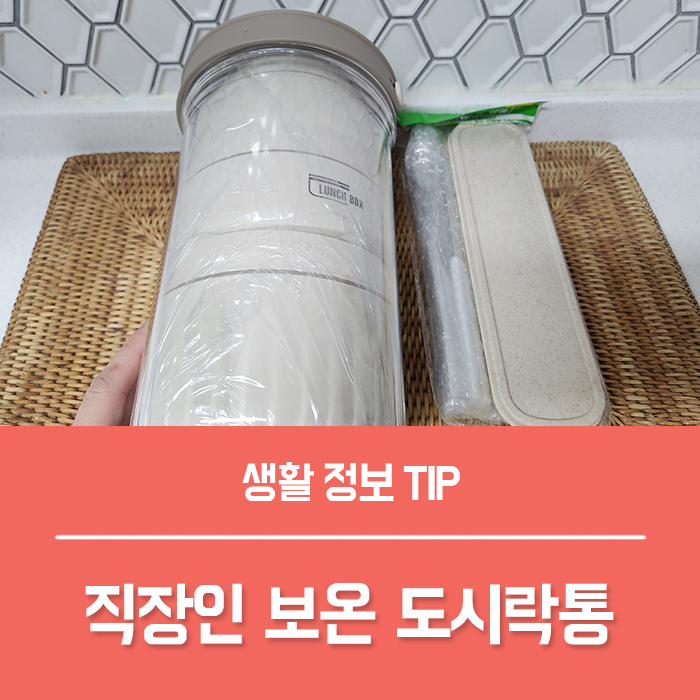  직장인 도시락통 , 실리콘 온먼트 보온 도시락 추천해요