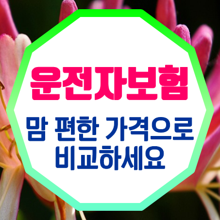  운전자보험계산 최소 5천원부터 시작할 수 있으니까!