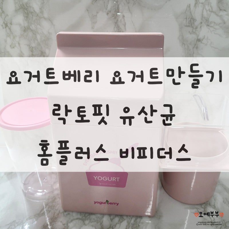 요거트베리로 요거트만들기/락토핏 유산균, 홈플러스 비피더스