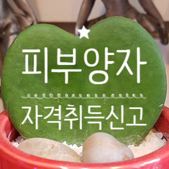 피부양자 자격취득신고서 건강보험 피부양자 등록 피부양자 자격상실신고서 건강보험 피부양자 취득사유 피부양자 상실사유