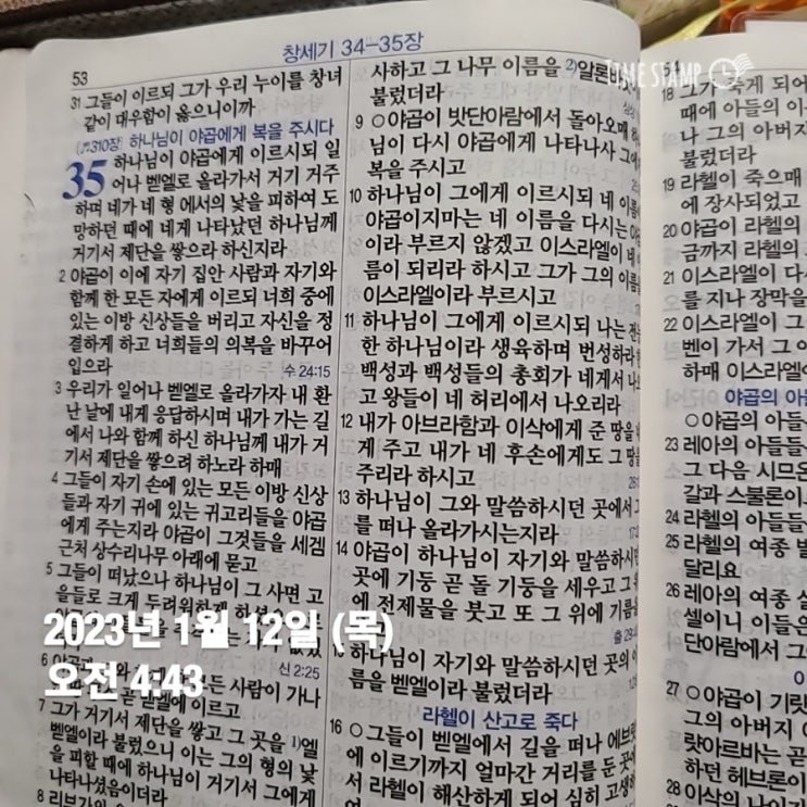  1월 성장하는 나와 함께 -새벽 기상 377