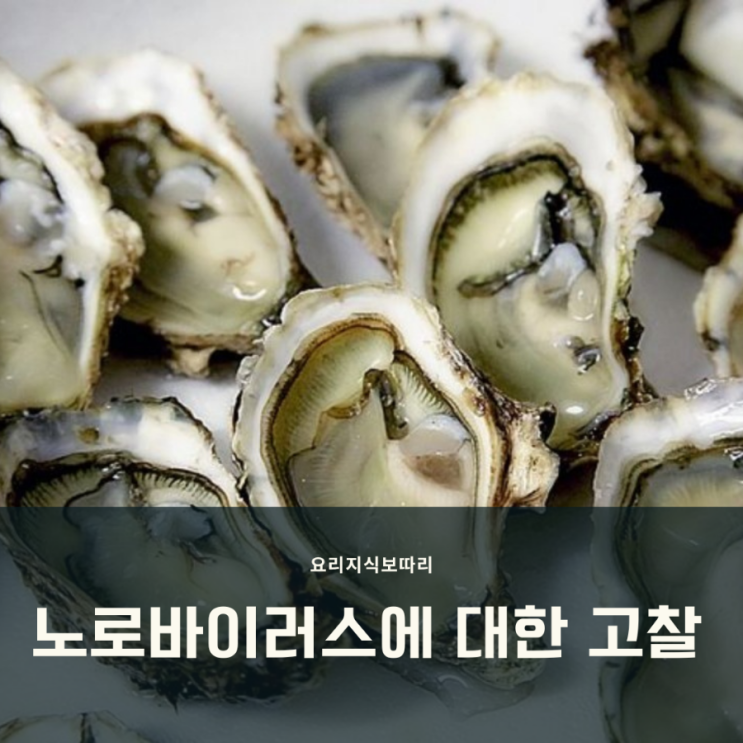 노로바이러스 증상, 원인, 예방에 대한 이야기 노로바이러스 증상, 원인, 예방에 대한 이야기