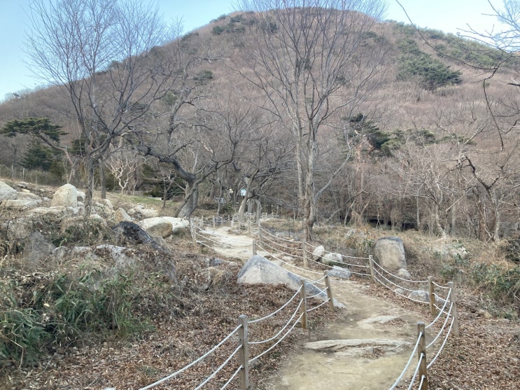  부산 금정산 둘레길, 범어사, 온천천 산책 풍경