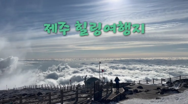순백의 눈꽃 설원 한라산과 백약이 아부 오름 제주도 힐링숲 여행지 추천