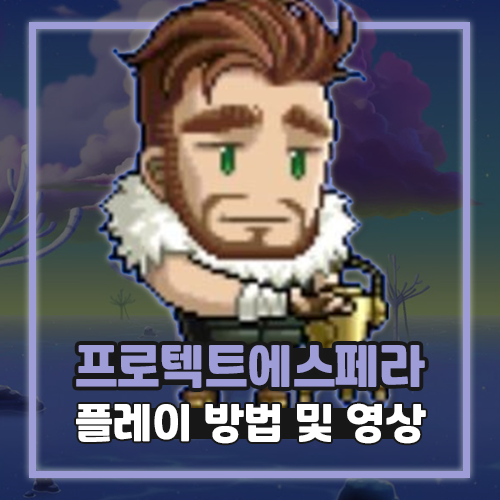  메이플 프로텍트 에스페라 플레이 공략