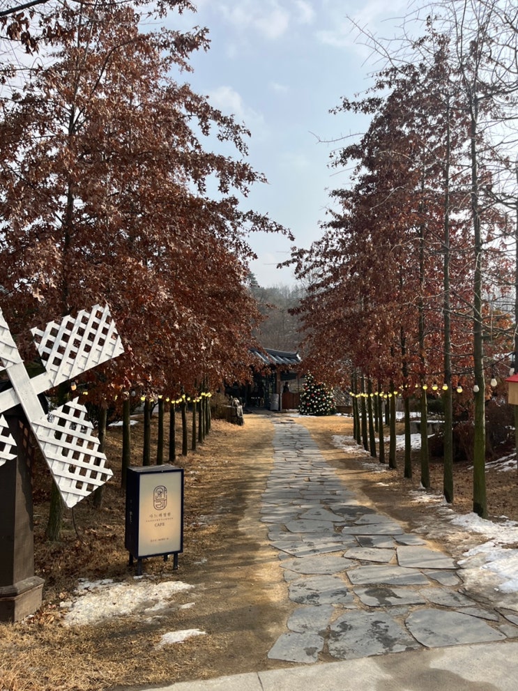  [영주] 넓은 정원이 있는 식물원 카페 사느래 정원