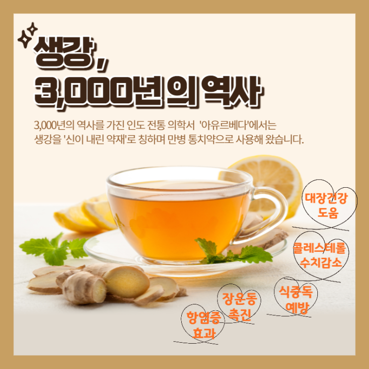  3000년 역사의 생강 -진한생강차 자하생강차! 면역증가에 필요한 차!생강의 효능!