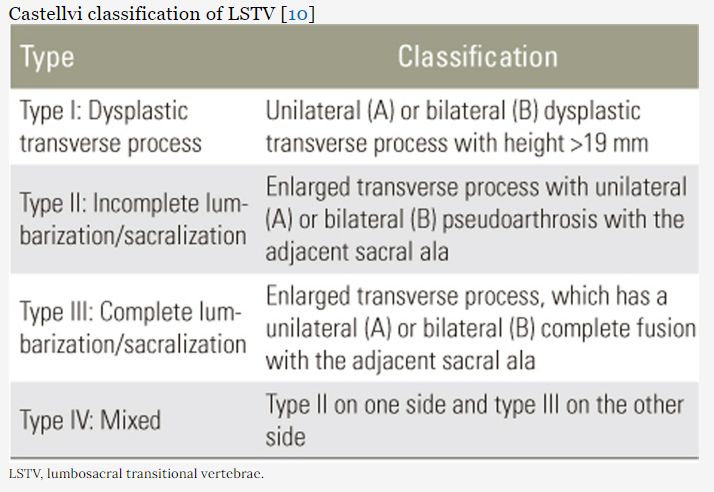 case)이행성 척추(Lumbo-Sacral Transitional Vertebra)_2 (노원 진 통증의학과) : 네이버 블로그