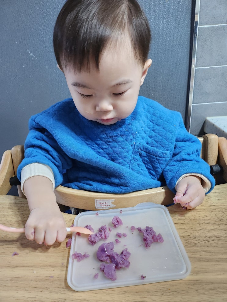  돌 아기 간식, 블루베리 배 요거트 푸딩