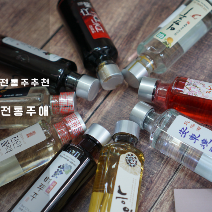  명절 선물세트 전통주애 한국 전통주 추천
