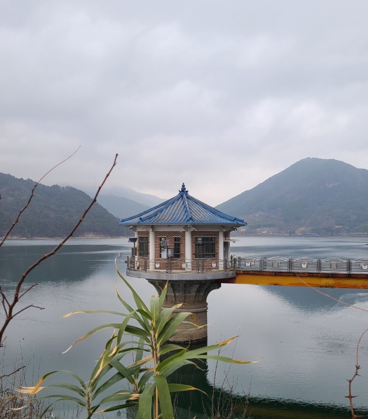 김제 가볼 만한 곳, 김제 금평저수지 수변로 걷기(1월 9일)