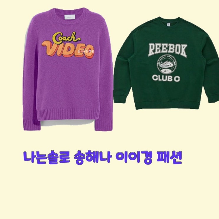 송해나 이이경 나는솔로79회 니트 보라색 초록색 레터링 Video 맨투맨 티셔츠 스웨터 옷 패션