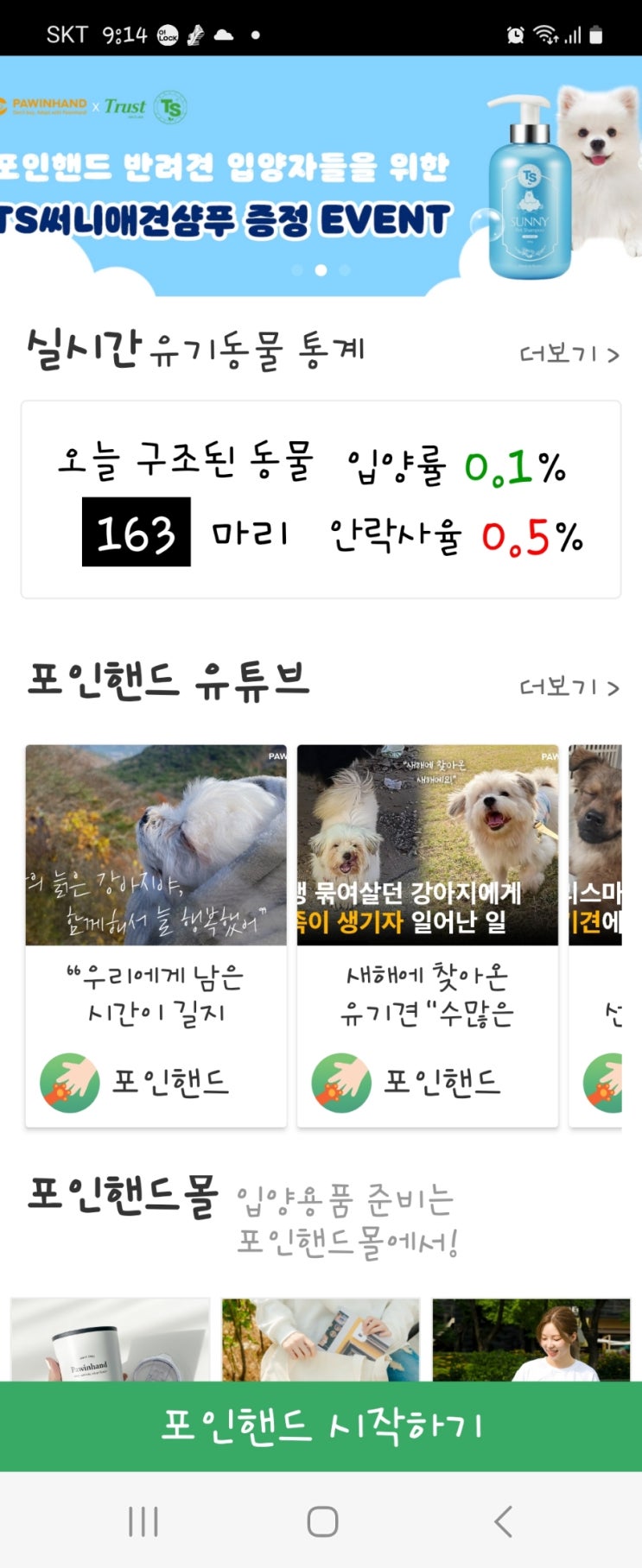  포인핸드에서 유기견 입양하는 방법