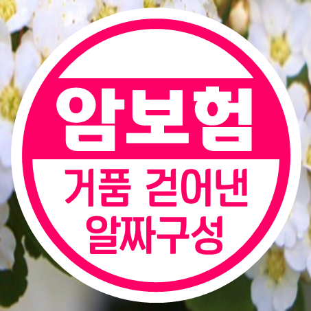  갱신없는암보험 거품 싹 걷어내고 알짜만!
