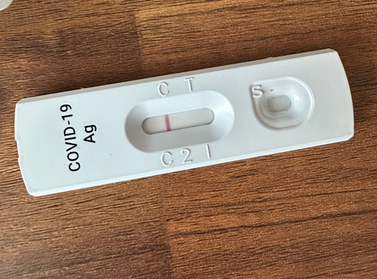  최근 남편이랑 같이 걸린 코로나 증상 (pcr 음성 , 신속항원 음성, 잠복기)