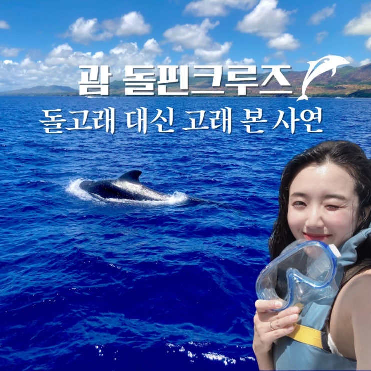  괌 돌핀크루즈 돌고래 대신 고래만 실컷 본 투어 후기