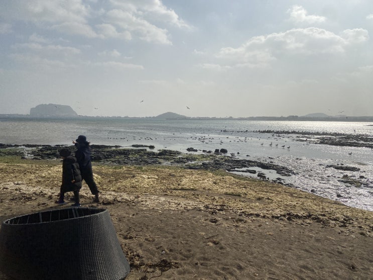 제주도 드라이브 멋진 해안도로 세화 해맞이 해안도로