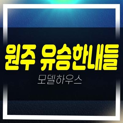  원주 유승한내들 더스카이 반곡동 선착순 계약가능 계약금5% 39층 랜드마크 주택홍보관 미분양아파트