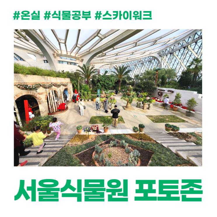 서울식물원 온실 포토존 열대관 지중해관 스카이워크 식물공부