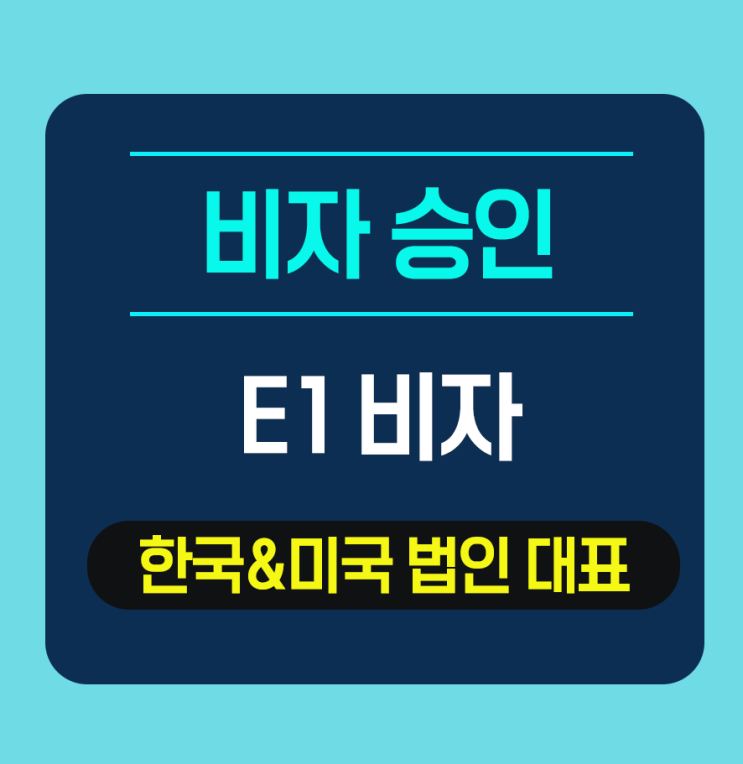  E1비자 승인 - 결재대행 및 배송대행 회사 CEO