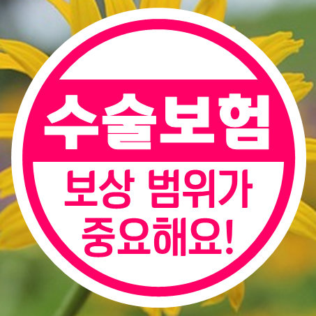  수술비보장보험 포함된 질병 상해 종류가 중요해요.