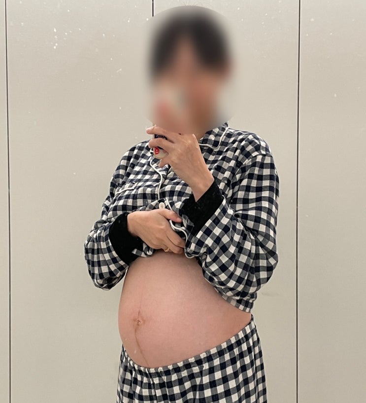  임신 22주차 증상일기(변비, 태동, 입덧, 속쓰림, 얼음물, 임산부 배, 임신선)