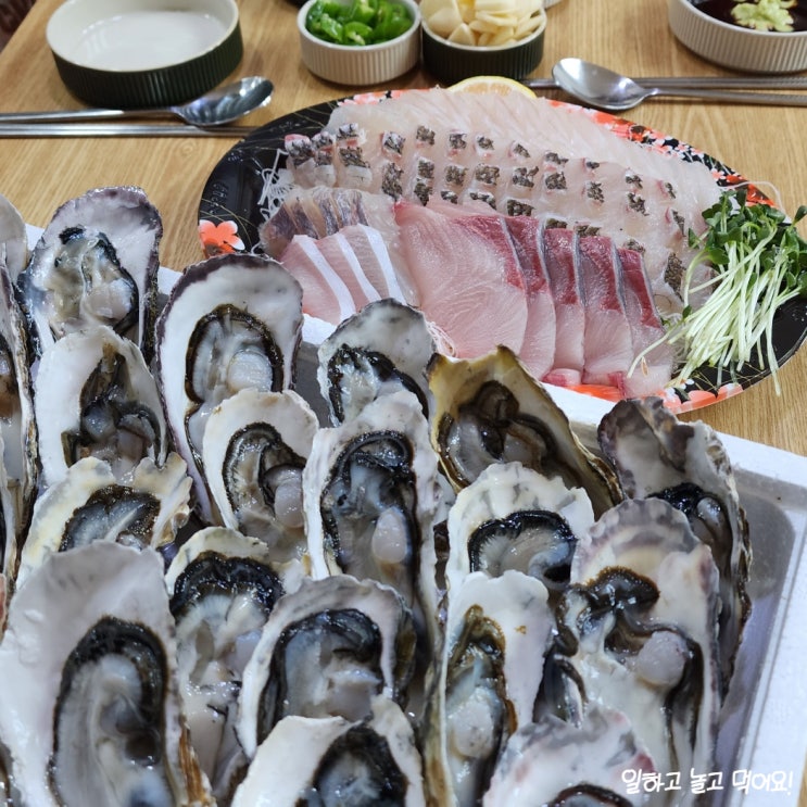  석화 폼 미쳤다..수원식자재대형마트 마트킹 서수원점 석화, 모듬회 리뷰