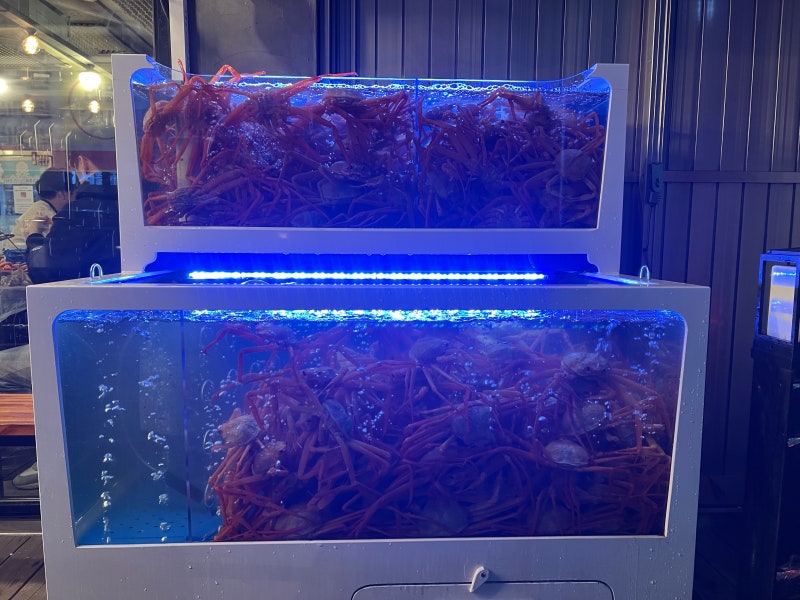 [상암동] 홍게 무한리필 “서울찜닭 8