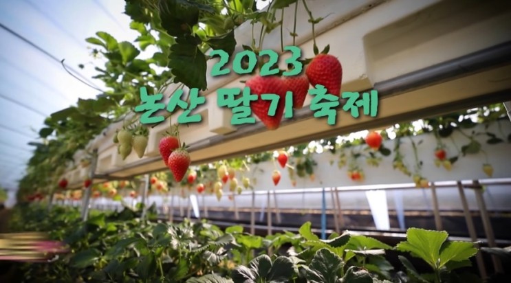 논산딸기축제 2023 개최시기 기본 정보