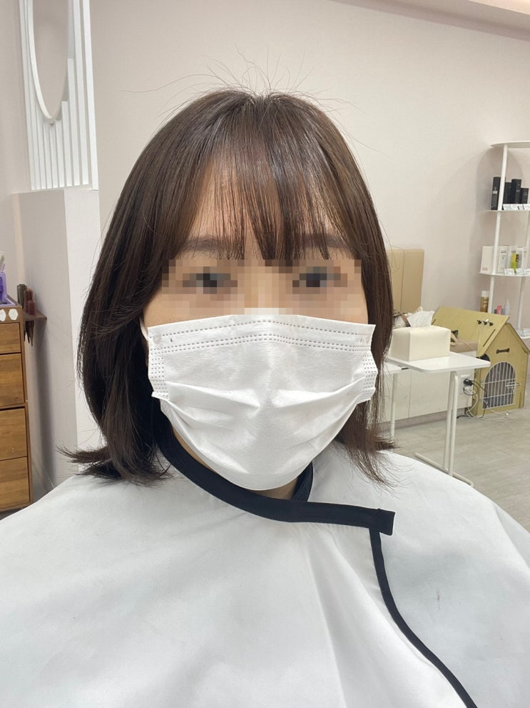  판교미용실 리미띠에에서 머리 전체 갈색염색한 후기