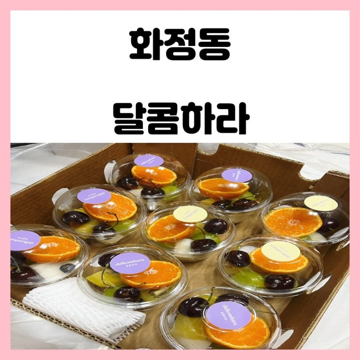 광주 컵과일 화정동 달콤하라 단체간식 주문