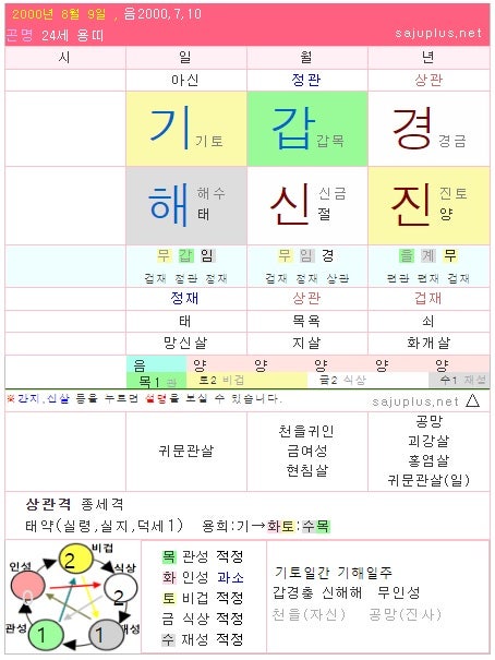 김향기 사주 - 기해일주