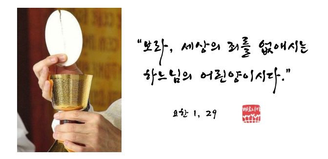 “보라, 세상의 죄를 없애시는 하느님의 어린양이시다.” “보라, 세상의 죄를 없애시는 하느님의 어린양이시다.”