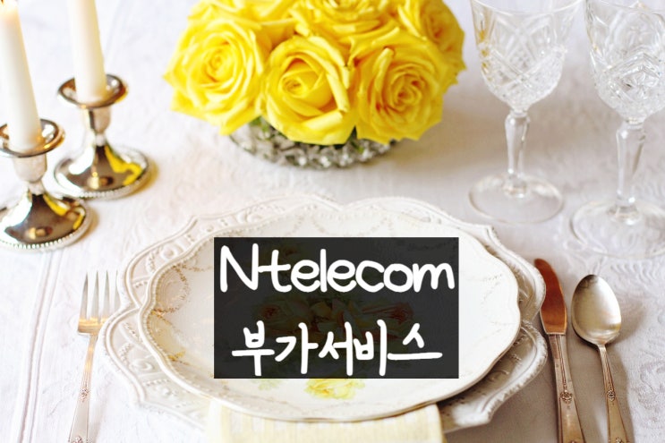 Ntelecom 부가서비스 총 정리