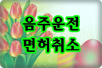 창원 음주운전 면허취소일 때 해야 할 일 창원 음주운전 면허취소일 때 해야 할 일