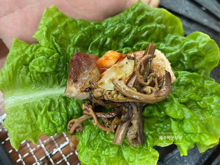 제주 서귀포 고기집 서귀동 현지인 맛집 행운 숯불갈비 첫 방문 후기