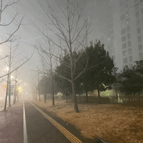 고온 폭우로 인해 안개가 낀날 운전시 주의(4가지)