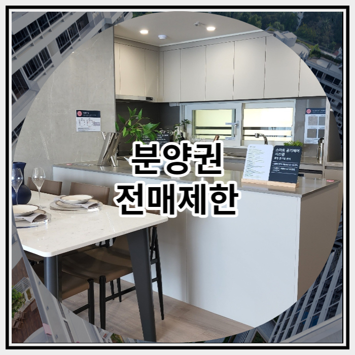 분양권 전매제한 자세하게 파헤쳐보자