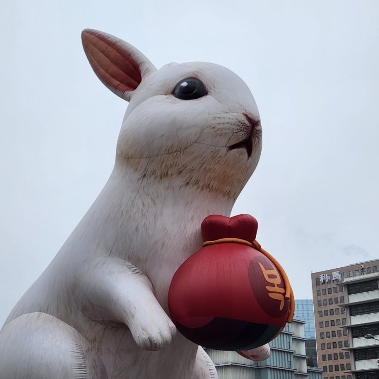 오늘의 감사일기
